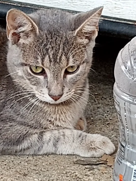 Franklin Air Conditioning & Heating Ser.Joe Estep Picture 1