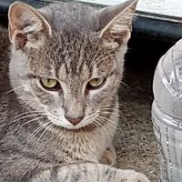 Franklin Air Conditioning & Heating Ser.Joe Estep ico