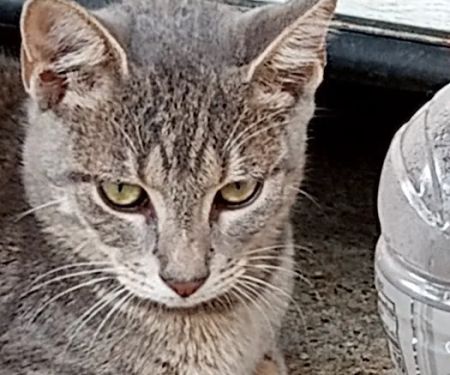 Franklin Air Conditioning & Heating Ser.Joe Estep