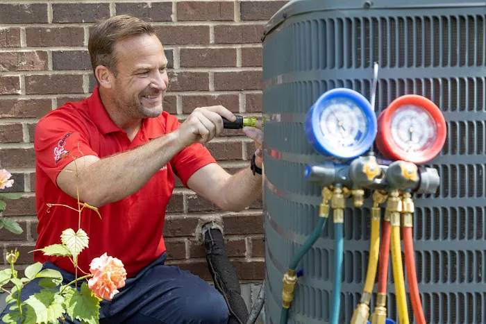 Apollo Home Picture 1