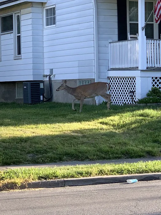 Better Choice Heating and Air Conditioning Picture 2