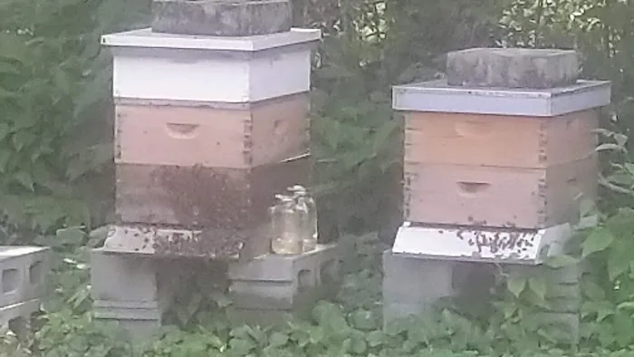 Complete Air Services Picture 1