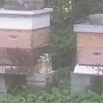 Complete Air Services