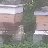 Complete Air Services ico