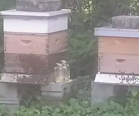 Complete Air Services