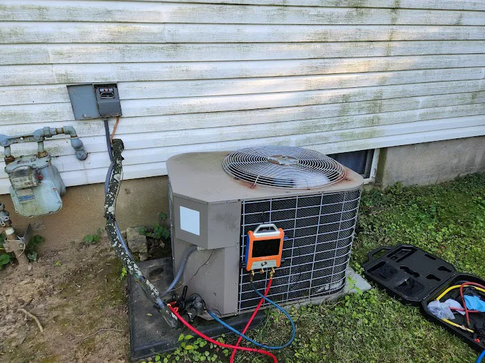 The Vitruvian Plumber Picture 8