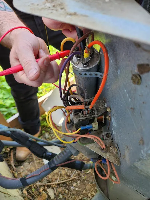 The Vitruvian Plumber Picture 5