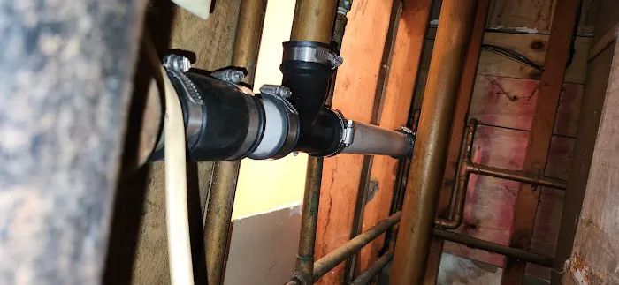 The Vitruvian Plumber Picture 9