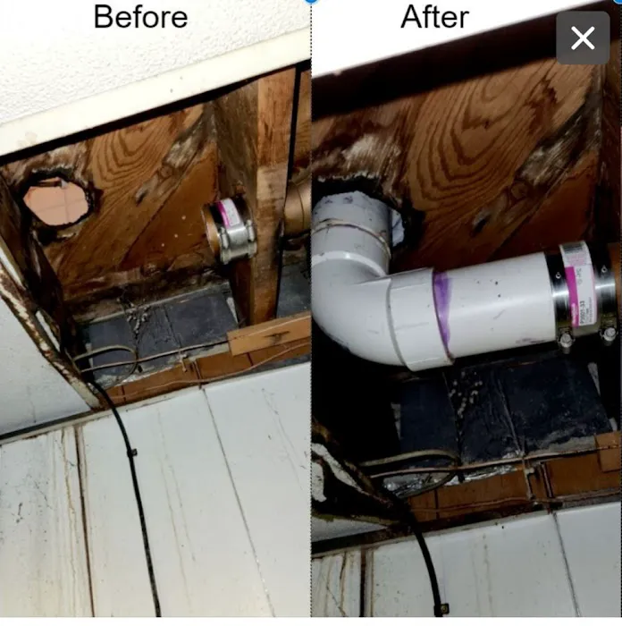 The Vitruvian Plumber Picture 2