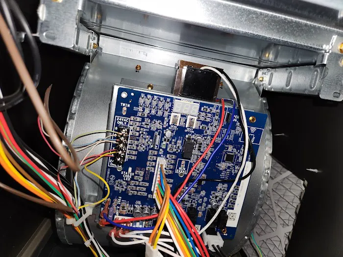 The Vitruvian Plumber Picture 4