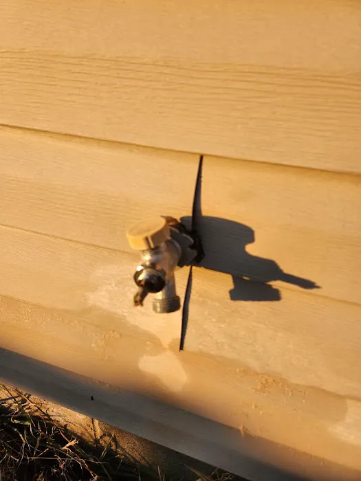 The Vitruvian Plumber Picture 3