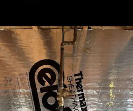 The Vitruvian Plumber