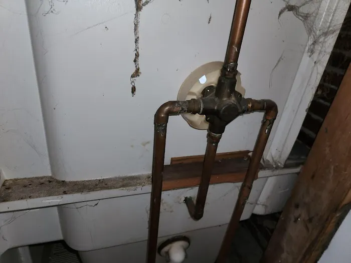 The Vitruvian Plumber Picture 7