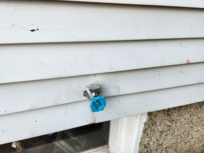 The Vitruvian Plumber Picture 6