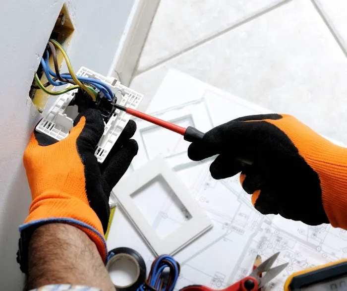 Champion Star Service Picture 5