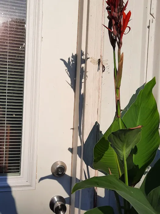 Wilson and Son Heating & Air Conditioning, Inc Picture 10