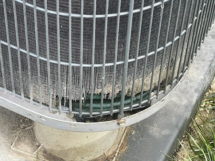 A Perfect Climate Picture 6