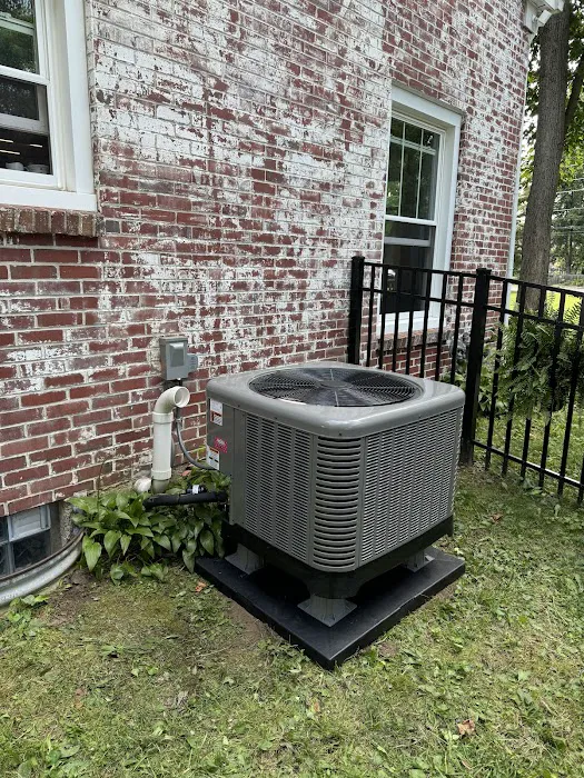 A Perfect Climate Picture 3