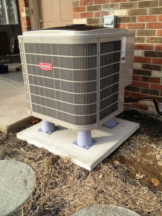 Reve Porter Picture 5