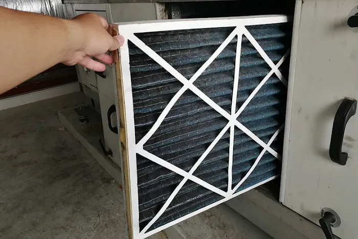 Reve Porter Picture 4