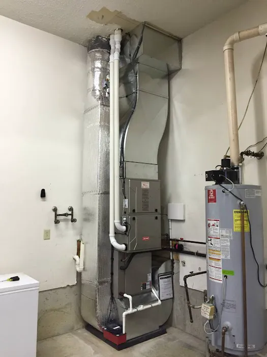 Reve Porter Picture 1