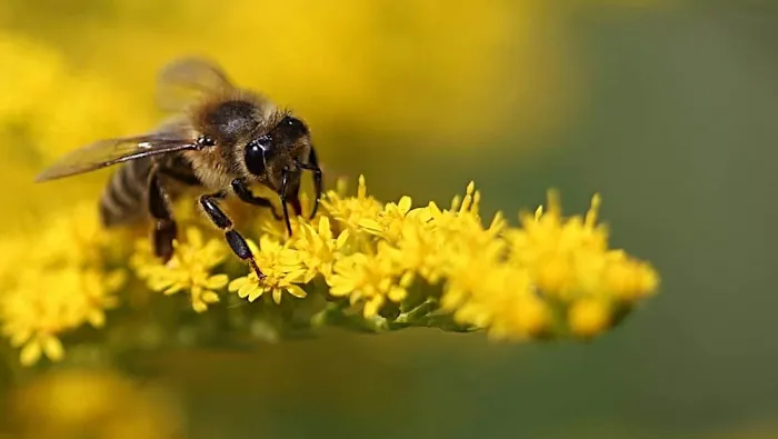 Kennedy Air Conditioning Picture 8