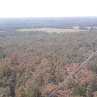 Billy Ellis Heating & Air ico