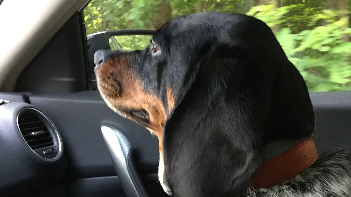 French’s Heating and Air Conditioning,Llc Picture 10