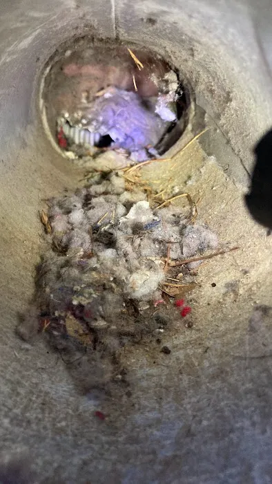 Stafford Refrigeration LLC Picture 9