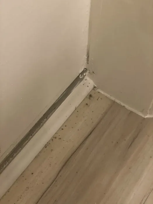 CroppMetcalfe Picture 4