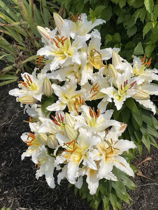 DeLong Air Inc Picture 2