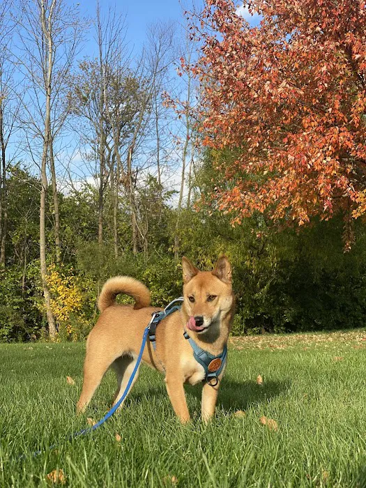 A-Abel Family of Companies Picture 5