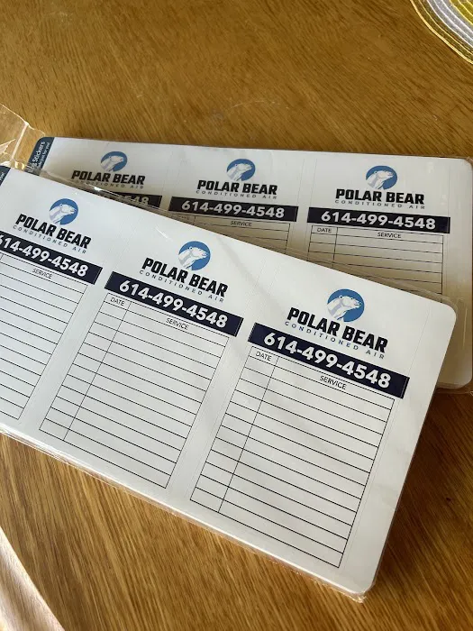 Polar Bear Conditioned Air Picture 5