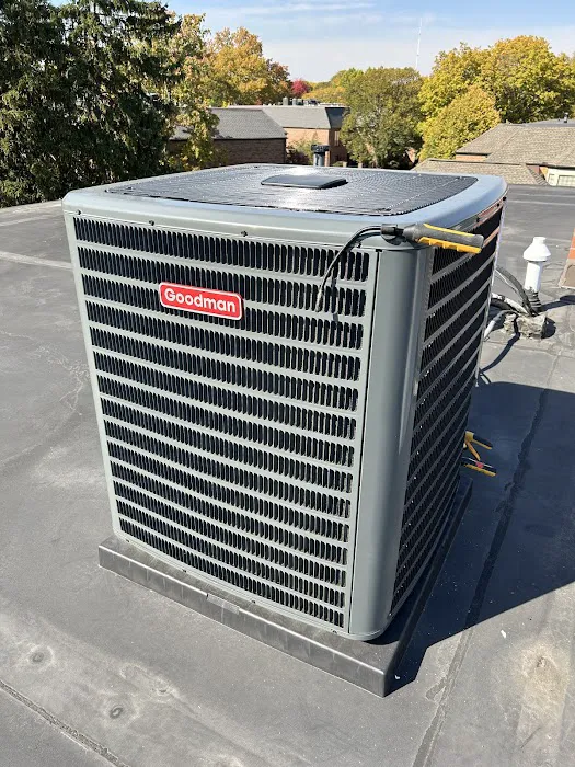 Polar Bear Conditioned Air Picture 8