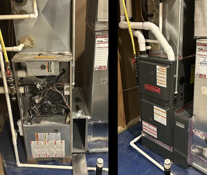 Polar Bear Conditioned Air Picture 6