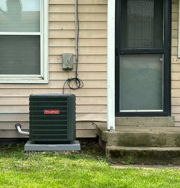 Polar Bear Conditioned Air Picture 3