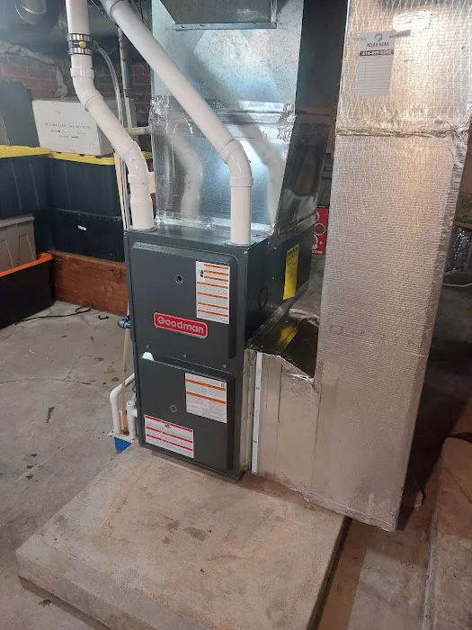 Polar Bear Conditioned Air Picture 4