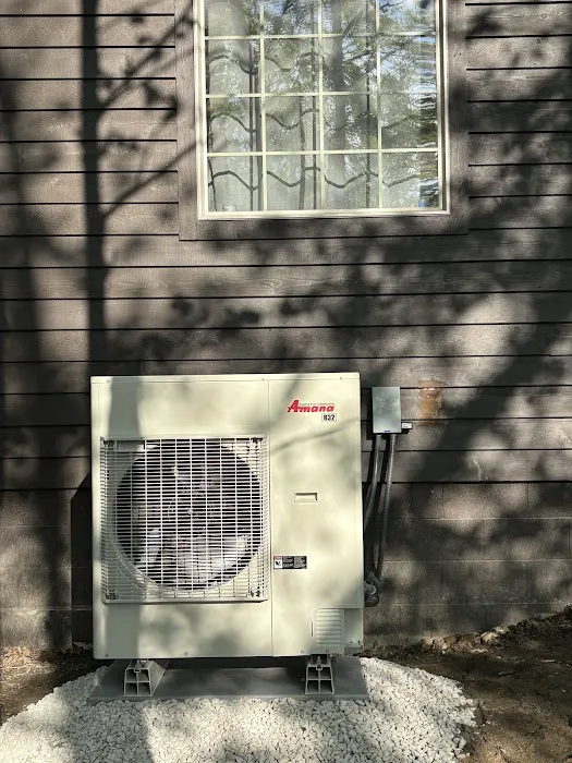 Polar Bear Conditioned Air Picture 2