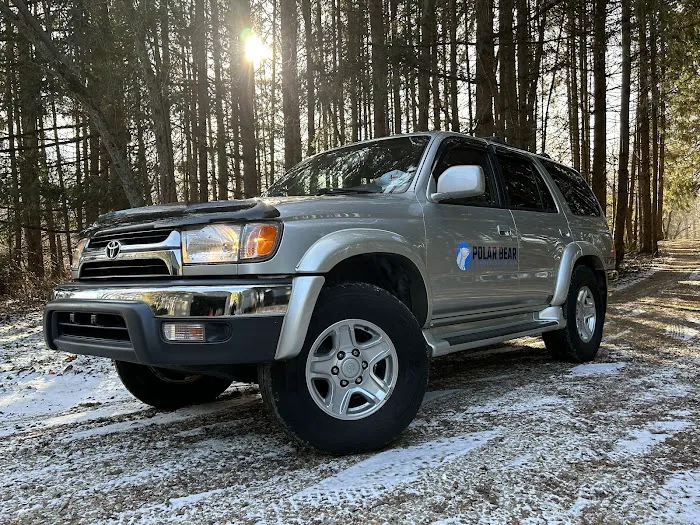 Polar Bear Conditioned Air Picture 9