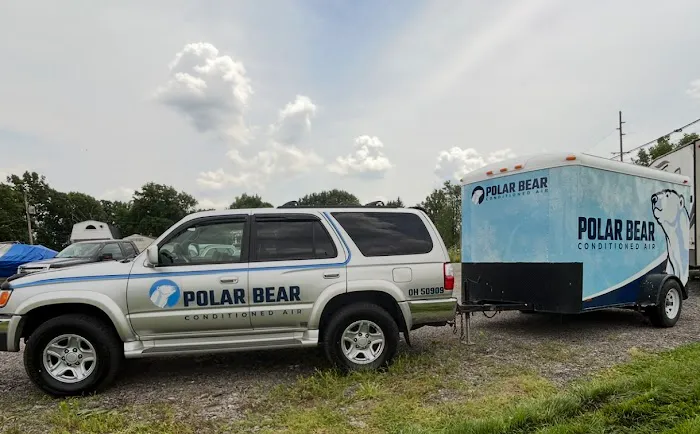 Polar Bear Conditioned Air Picture 7