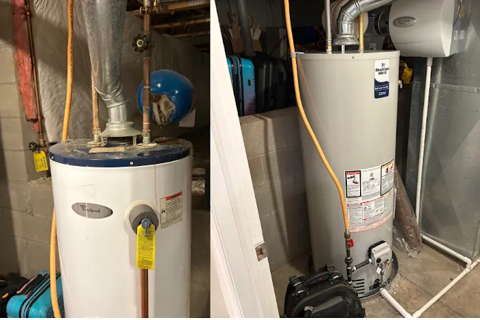 Polar Bear Conditioned Air Picture 10