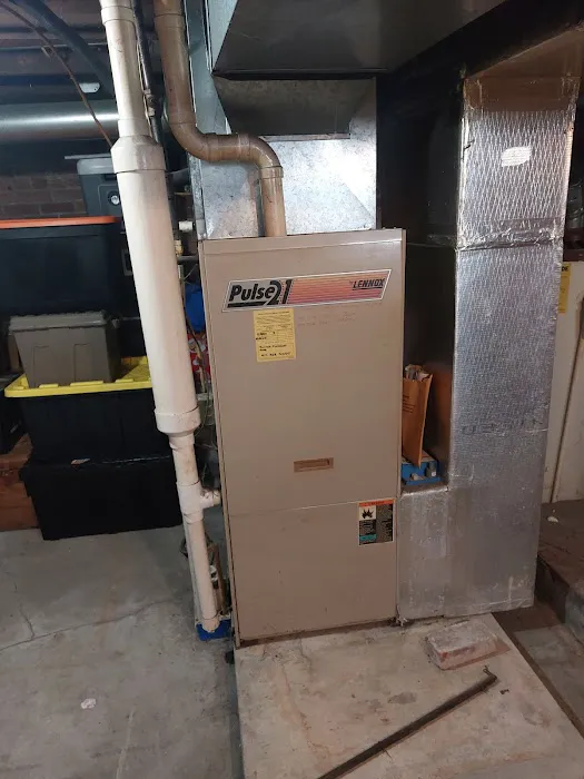 Polar Bear Conditioned Air Picture 1