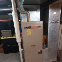 Polar Bear Conditioned Air ico