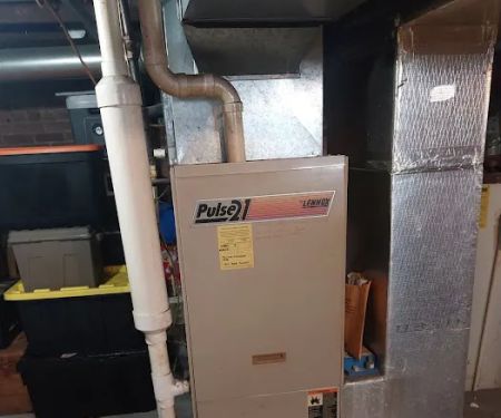 Polar Bear Conditioned Air