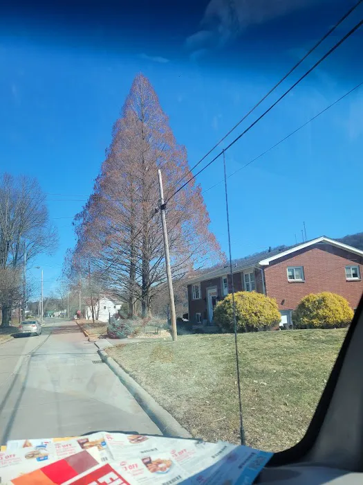 R Davis & Sons Heating and Cooling Picture 3