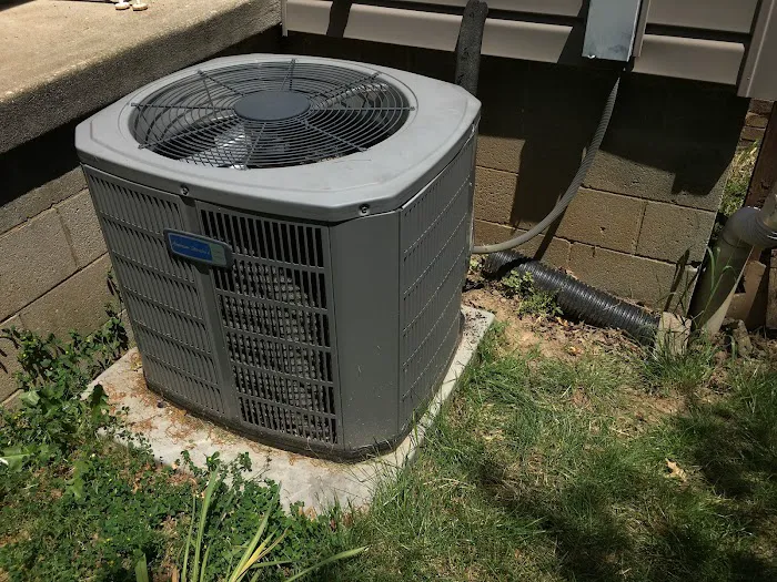 Hey Neighbor LLC Picture 2