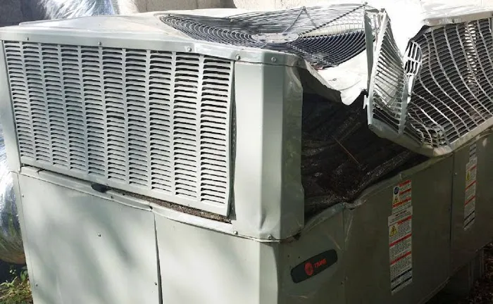 Air Excellence Picture 2