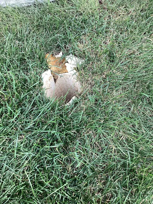 Eco Plumbers, Electricians, and HVAC Technicians Picture 7