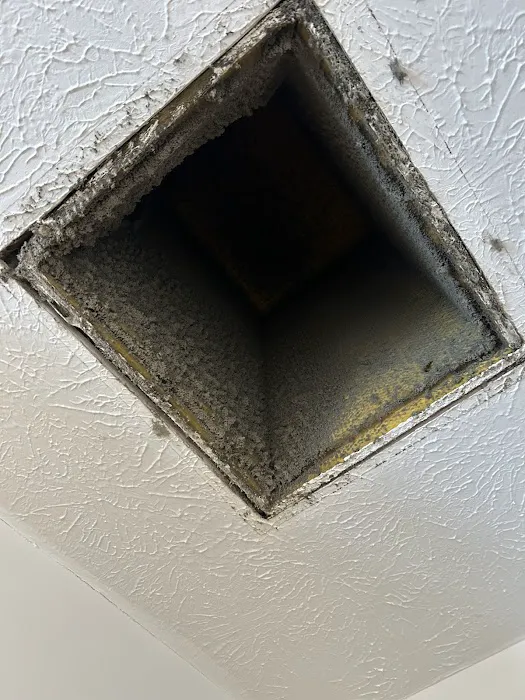 Essential Air Picture 2