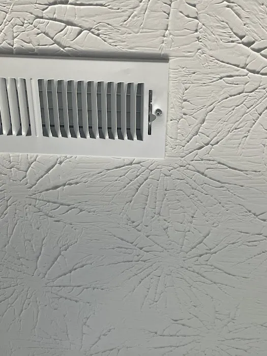 Essential Air Picture 6